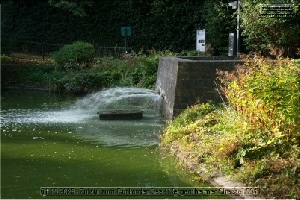 Brunnen dieser Stadt